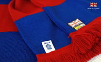 ヴァンフォーレ甲府 1st (2017)