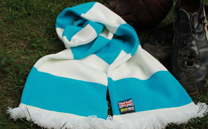 サガン鳥栖 1st (2017)