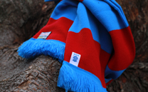 ヴァンフォーレ甲府 2nd (2018)