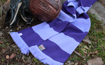 サンフレッチェ広島 3rd (2019)