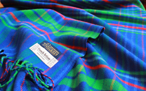 徳島ヴォルティス ストール (2013)