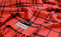 大宮アルディージャ マフラー (2013)