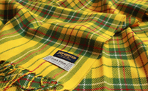 ジェフユナイテッド市原・千葉 ストール (2013)