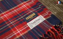 ファジアーノ岡山 ストール (2014)