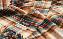 北海道日本ハムファイターズ ストール B (2016)