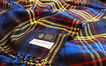 ザスパクサツ群馬 ストール (2016)