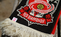 浦和レッズ 1st (2013)