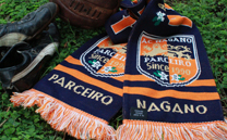 AC長野パルセイロ (2019)