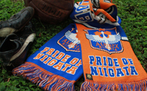 アルビレックス新潟 (2019)