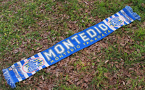 モンテディオ山形 (2020)