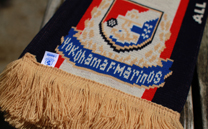 横浜F・マリノス 2nd (2013)