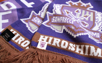 サンフレッチェ広島 1st (2013)