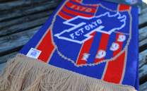 F.C.東京 1st (2013)