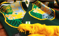 ヴァンラーレ八戸 1st (2014)