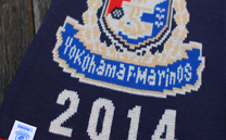 横浜F・マリノス (2014シーズンホルダー)