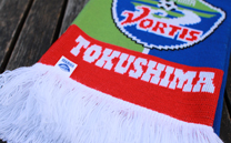 徳島ヴォルティス 1st (2014)