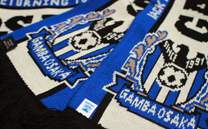 ガンバ大阪 2nd (2014)