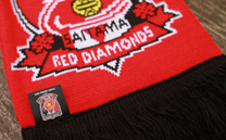 浦和レッズ 3rd A (2014)