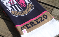 セレッソ大阪 1st (2013)