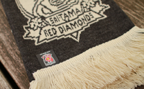 浦和レッズ (2014)