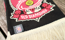 浦和レッズ (2014)