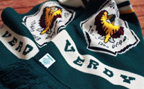 東京ヴェルディ1969 (2014)