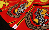 名古屋グランパスエイト (2014)