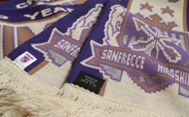 サンフレッチェ広島 (2014)