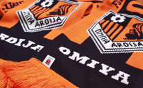 大宮アルディージャ (2014)