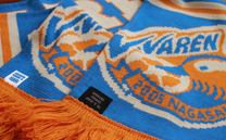 V・ファーレン長崎 (2014)