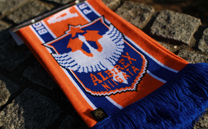 アルビレックス新潟 (2015)