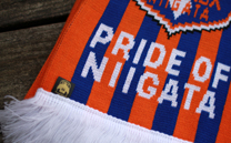 アルビレックス新潟 2nd A (2015)