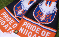 アルビレックス新潟 2nd B (2015)