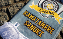 カマタマーレ讃岐 1st (2015)