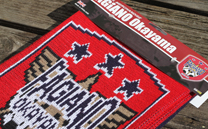 ファジアーノ岡山 1st (2013)