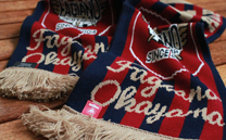 ファジアーノ岡山 (2016)