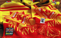 ギラヴァンツ北九州 (2017)