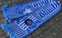 ブラウブリッツ秋田 (2019)