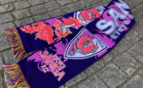 京都サンガF.C. (2019)