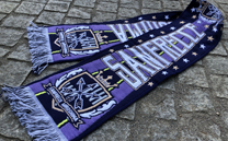 サンフレッチェ広島 (2018)