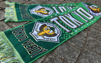 東京ヴェルディ1969 (2018)