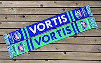 徳島ヴォルティス (2023)