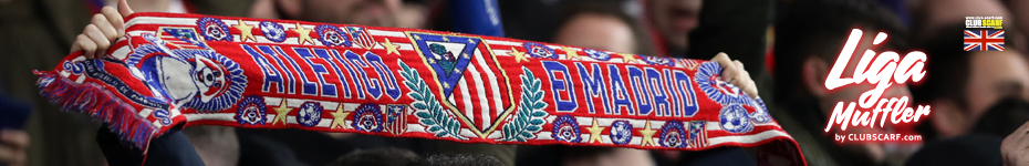 リーガマフラーについて