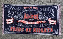 アルビレックス新潟 ヴィンテージブランケット(2016)